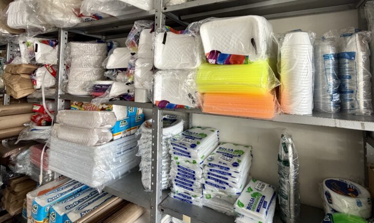 Imagen 20 10 25 a las 12.13 p.m 768x457